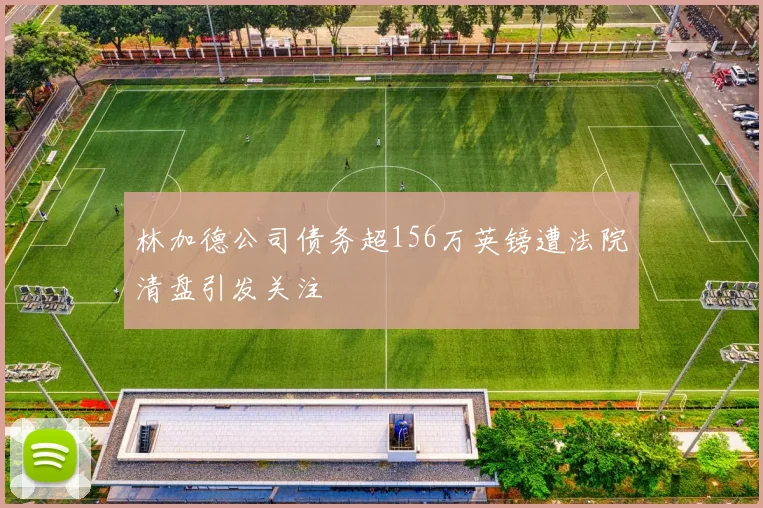 林加德公司债务超156万英镑遭法院清盘引发关注